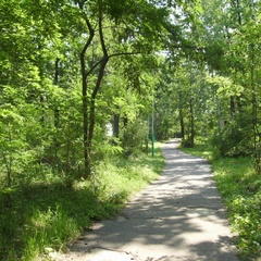 Турбаза Золотой ключик, Рамонский район, Воронежская область