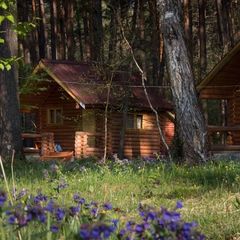 База отдыха ТопЛес, Чемальский район, Республика Алтай