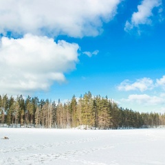 Коттеджный комплекс Ахвенлампи, Лахденпохский район, Республика Карелия