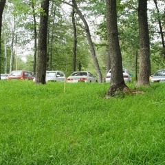 Турбаза Золотой ключик, Рамонский район, Воронежская область