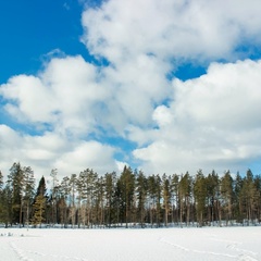 Коттеджный комплекс Ахвенлампи, Лахденпохский район, Республика Карелия