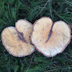 Коттеджный комплекс Ахвенлампи, Лахденпохский район, Республика Карелия