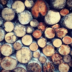 Коттеджный комплекс Ахвенлампи, Лахденпохский район, Республика Карелия