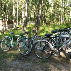 Турбаза Золотой ключик, Рамонский район, Воронежская область