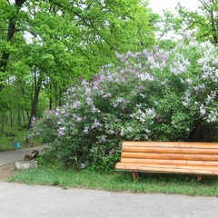 Турбаза Золотой ключик, Рамонский район, Воронежская область