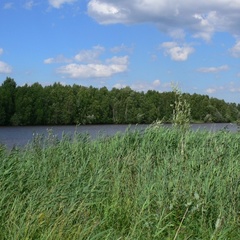 База отдыха Лукоморье, Приморский район, Архангельская область