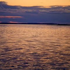 База отдыха Бухта Лазурная, Барабинский район, Новосибирская область
