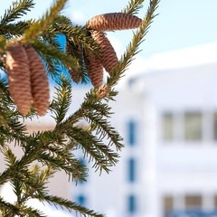 База отдыха Бухта Лазурная, Барабинский район, Новосибирская область