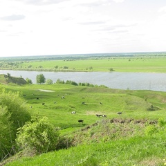 База отдыха Барское подворье, Рыбновский район, Рязанская область