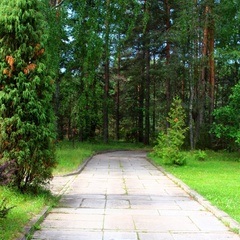 База отдыха Лесной остров, Мышкинский район, Ярославская область