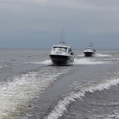 База отдыха Онего-Клуб, Прионежский район, Республика Карелия