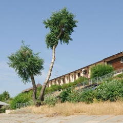 База отдыха Подсолнух, Саратовский район, Саратовская область