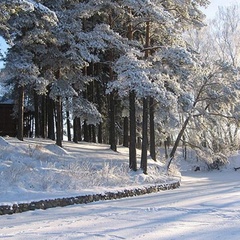 Туристический комплекс Mouse Inn, Мышкинский район, Ярославская область