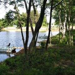 Парк-отель Чеснава, Брейтовский район, Ярославская область