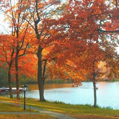 Парк-отель Филипп, Багратионовский район, Калининградская область