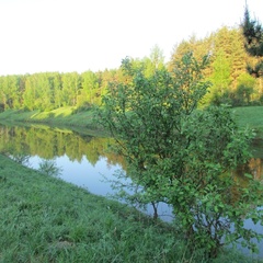 Парк-отель Ярославль, Ярославский район, Ярославская область