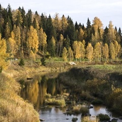 Центр отдыха Демино, Рыбинский район, Ярославская область