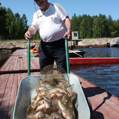 Парк-отель Чеснава, Брейтовский район, Ярославская область