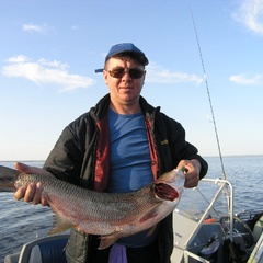 Парк-отель Чеснава, Брейтовский район, Ярославская область