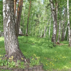 База отдыха Лебяжье, Казань, Татарстан