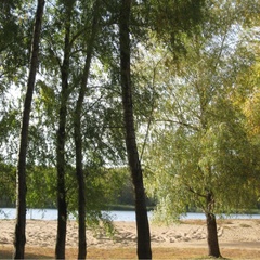 Турбаза Клевое местечко, Энгельс, Саратовская область