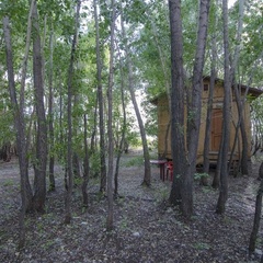 База отдыха Дача, Илекский район, Оренбургская область