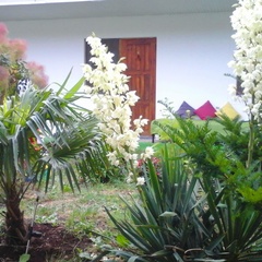 База отдыха Голубой залив, Темрюкский район, Краснодарский край