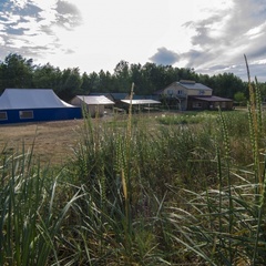 База отдыха Дача, Илекский район, Оренбургская область