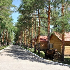 Загородный комплекс Авангард, Воскресенский район, Саратовская область