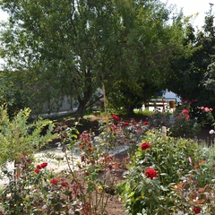 База отдыха Голубой залив, Темрюкский район, Краснодарский край