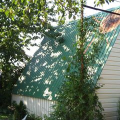 База отдыха Оранжевое лето, Анапский район, Краснодарский край