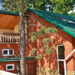 База отдыха Екатерининская усадьба, Краснодар, Краснодарский край