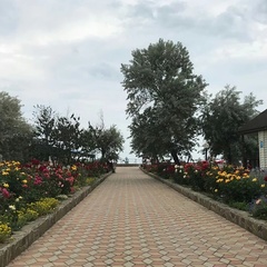 База отдыха Дельфин, Темрюкский район, Краснодарский край