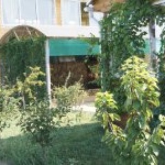 База отдыха Новонекрасовское, Приморско-Ахтарский район, Краснодарский край