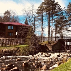 База отдыха Приют охотника, Валдайский район, Новгородская область