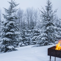 База отдыха Ватцы, Валдайский район, Новгородская область