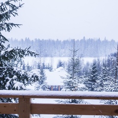 База отдыха Ватцы, Валдайский район, Новгородская область