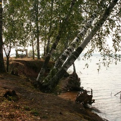 База отдыха Великое озеро, Валдайский район, Новгородская область