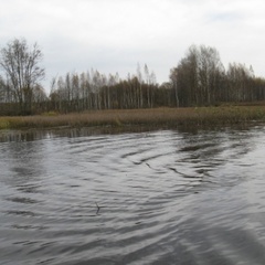 Охотничье хозяйство Раздобарино, Холм-Жирковский район, Смоленская область