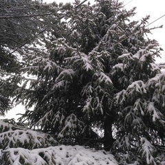 База отдыха Приют охотника, Валдайский район, Новгородская область