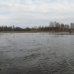 Охотничье хозяйство Раздобарино, Холм-Жирковский район, Смоленская область