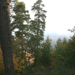 Дом отдыха Берсут, Мамадышский район, Татарстан