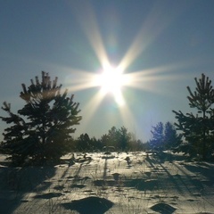 Туристический комплекс Остров, Демянский район, Новгородская область