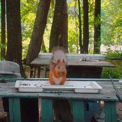 База отдыха Бережок, Лаишевский район, Татарстан