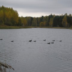 Спортивно-оздоровительный комплекс Смена, Смоленск, Смоленская область