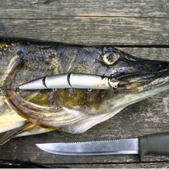 Охотничья база Кречет, Ельнинский район, Смоленская область