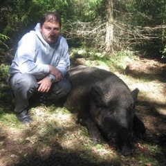 Охотничья база Кречет, Ельнинский район, Смоленская область