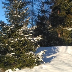 База отдыха Приют охотника, Валдайский район, Новгородская область