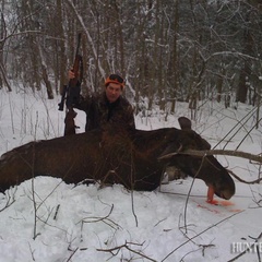 Охотничье хозяйство Охотничьи традиции, Вяземский район, Смоленская область