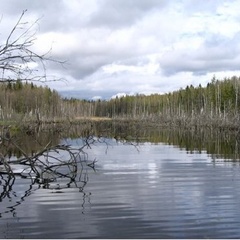Охотничья база Кречет, Ельнинский район, Смоленская область